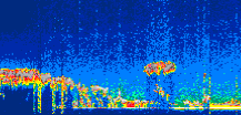 /calipso-imagery/data/BROWSE/production/V5-00/2022-07-12/2022-07-12_00-16-47_V5.00_1_thmb.png image missing