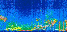 /calipso-imagery/data/BROWSE/production/V5-00/2022-07-12/2022-07-12_03-33-42_V5.00_3_thmb.png image missing