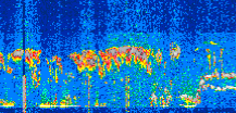/calipso-imagery/data/BROWSE/production/V5-00/2022-07-12/2022-07-12_08-29-13_V5.00_2_thmb.png image missing