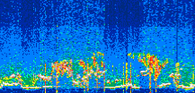 /calipso-imagery/data/BROWSE/production/V5-00/2022-07-12/2022-07-12_11-46-08_V5.00_3_thmb.png image missing