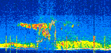 /calipso-imagery/data/BROWSE/production/V5-00/2022-07-12/2022-07-12_13-24-39_V5.00_2_thmb.png image missing
