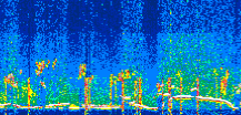 /calipso-imagery/data/BROWSE/production/V5-00/2022-07-12/2022-07-12_15-03-09_V5.00_3_thmb.png image missing