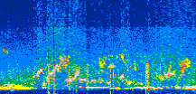 /calipso-imagery/data/BROWSE/production/V5-00/2022-07-12/2022-07-12_18-20-04_V5.00_3_thmb.png image missing