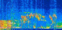 /calipso-imagery/data/BROWSE/production/V5-00/2022-07-12/2022-07-12_19-58-34_V5.00_2_thmb.png image missing