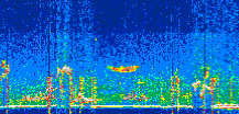 /calipso-imagery/data/BROWSE/production/V5-00/2022-07-12/2022-07-12_19-58-34_V5.00_3_thmb.png image missing
