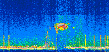/calipso-imagery/data/BROWSE/production/V5-00/2022-07-12/2022-07-12_23-15-35_V5.00_2_thmb.png image missing