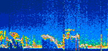 /calipso-imagery/data/BROWSE/production/V5-00/2022-07-16/2022-07-16_02-45-49_V5.00_1_thmb.png image missing