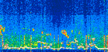 /calipso-imagery/data/BROWSE/production/V5-00/2022-07-16/2022-07-16_02-45-49_V5.00_3_thmb.png image missing