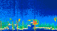 /calipso-imagery/data/BROWSE/production/V5-00/2022-07-16/2022-07-16_02-45-49_V5.00_4_thmb.png image missing