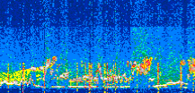/calipso-imagery/data/BROWSE/production/V5-00/2022-07-16/2022-07-16_10-58-15_V5.00_3_thmb.png image missing