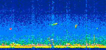 /calipso-imagery/data/BROWSE/production/V5-00/2022-07-21/2022-07-21_00-56-39_V5.00_2_thmb.png image missing