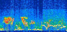 /calipso-imagery/data/BROWSE/production/V5-00/2022-07-21/2022-07-21_00-56-39_V5.00_3_thmb.png image missing