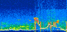 /calipso-imagery/data/BROWSE/production/V5-00/2022-07-21/2022-07-21_12-26-01_V5.00_3_thmb.png image missing