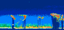 /calipso-imagery/data/BROWSE/production/V5-00/2022-07-21/2022-07-21_14-57-01_V5.00_1_thmb.png image missing