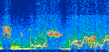 /calipso-imagery/data/BROWSE/production/V5-00/2022-07-21/2022-07-21_17-21-26_V5.00_3_thmb.png image missing