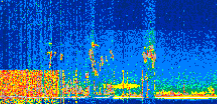 /calipso-imagery/data/BROWSE/production/V5-00/2022-07-21/2022-07-21_18-59-56_V5.00_2_thmb.png image missing