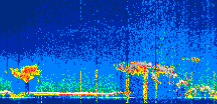 /calipso-imagery/data/BROWSE/production/V5-00/2022-07-21/2022-07-21_23-55-22_V5.00_1_thmb.png image missing