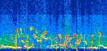 /calipso-imagery/data/BROWSE/production/V5-00/2022-07-21/2022-07-21_23-55-22_V5.00_3_thmb.png image missing
