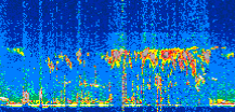 /calipso-imagery/data/BROWSE/production/V5-00/2022-07-22/2022-07-22_04-50-53_V5.00_2_thmb.png image missing