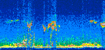 /calipso-imagery/data/BROWSE/production/V5-00/2022-07-22/2022-07-22_06-29-23_V5.00_2_thmb.png image missing