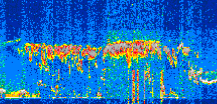 /calipso-imagery/data/BROWSE/production/V5-00/2022-07-22/2022-07-22_08-07-48_V5.00_2_thmb.png image missing
