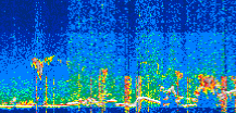 /calipso-imagery/data/BROWSE/production/V5-00/2022-07-22/2022-07-22_16-20-14_V5.00_3_thmb.png image missing