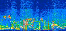 /calipso-imagery/data/BROWSE/production/V5-00/2022-07-22/2022-07-22_17-58-44_V5.00_3_thmb.png image missing