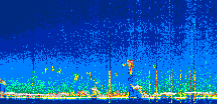 /calipso-imagery/data/BROWSE/production/V5-00/2022-07-22/2022-07-22_21-15-40_V5.00_1_thmb.png image missing