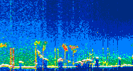 /calipso-imagery/data/BROWSE/production/V5-00/2022-07-22/2022-07-22_22-54-10_V5.00_4_thmb.png image missing
