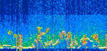 /calipso-imagery/data/BROWSE/production/V5-00/2022-07-25/2022-07-25_00-08-36_V5.00_3_thmb.png image missing