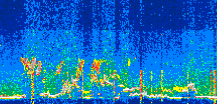 /calipso-imagery/data/BROWSE/production/V5-00/2022-07-25/2022-07-25_03-25-36_V5.00_3_thmb.png image missing