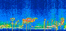 /calipso-imagery/data/BROWSE/production/V5-00/2022-07-25/2022-07-25_06-42-32_V5.00_3_thmb.png image missing