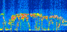 /calipso-imagery/data/BROWSE/production/V5-00/2022-07-25/2022-07-25_08-21-02_V5.00_2_thmb.png image missing