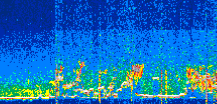 /calipso-imagery/data/BROWSE/production/V5-00/2022-07-25/2022-07-25_13-16-28_V5.00_3_thmb.png image missing