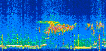 /calipso-imagery/data/BROWSE/production/V5-00/2022-07-25/2022-07-25_21-28-54_V5.00_2_thmb.png image missing