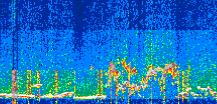 /calipso-imagery/data/BROWSE/production/V5-00/2022-07-25/2022-07-25_23-07-24_V5.00_3_thmb.png image missing