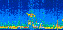 /calipso-imagery/data/BROWSE/production/V5-00/2022-07-28/2022-07-28_00-21-50_V5.00_2_thmb.png image missing