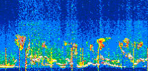 /calipso-imagery/data/BROWSE/production/V5-00/2022-07-28/2022-07-28_03-38-46_V5.00_3_thmb.png image missing