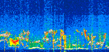 /calipso-imagery/data/BROWSE/production/V5-00/2022-07-28/2022-07-28_08-34-16_V5.00_3_thmb.png image missing