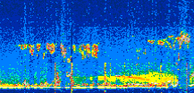 /calipso-imagery/data/BROWSE/production/V5-00/2022-07-28/2022-07-28_10-12-41_V5.00_2_thmb.png image missing