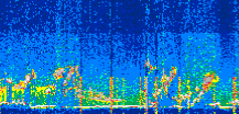 /calipso-imagery/data/BROWSE/production/V5-00/2022-07-28/2022-07-28_10-12-41_V5.00_3_thmb.png image missing