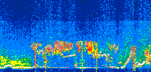 /calipso-imagery/data/BROWSE/production/V5-00/2022-07-28/2022-07-28_13-29-42_V5.00_3_thmb.png image missing