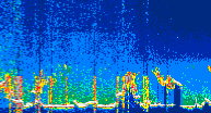/calipso-imagery/data/BROWSE/production/V5-00/2022-07-28/2022-07-28_13-29-42_V5.00_4_thmb.png image missing