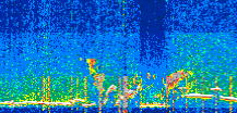/calipso-imagery/data/BROWSE/production/V5-00/2022-07-28/2022-07-28_15-08-07_V5.00_3_thmb.png image missing