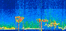 /calipso-imagery/data/BROWSE/production/V5-00/2022-07-28/2022-07-28_16-46-37_V5.00_3_thmb.png image missing