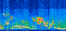 /calipso-imagery/data/BROWSE/production/V5-00/2022-07-28/2022-07-28_20-03-38_V5.00_3_thmb.png image missing