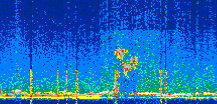 /calipso-imagery/data/BROWSE/production/V5-00/2022-07-28/2022-07-28_23-20-33_V5.00_2_thmb.png image missing