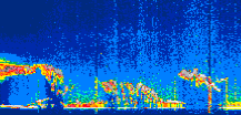 /calipso-imagery/data/BROWSE/production/V5-00/2022-07-29/2022-07-29_07-32-59_V5.00_1_thmb.png image missing