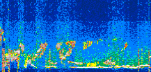 /calipso-imagery/data/BROWSE/production/V5-00/2022-07-29/2022-07-29_09-11-29_V5.00_3_thmb.png image missing