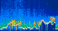 /calipso-imagery/data/BROWSE/production/V5-00/2022-07-29/2022-07-29_09-11-29_V5.00_4_thmb.png image missing